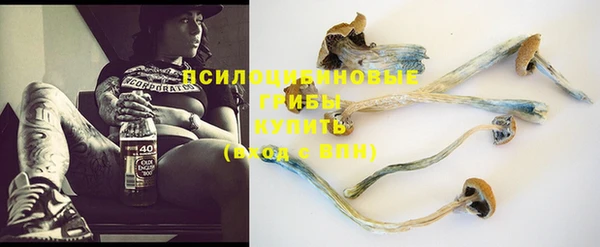 mix Лабытнанги