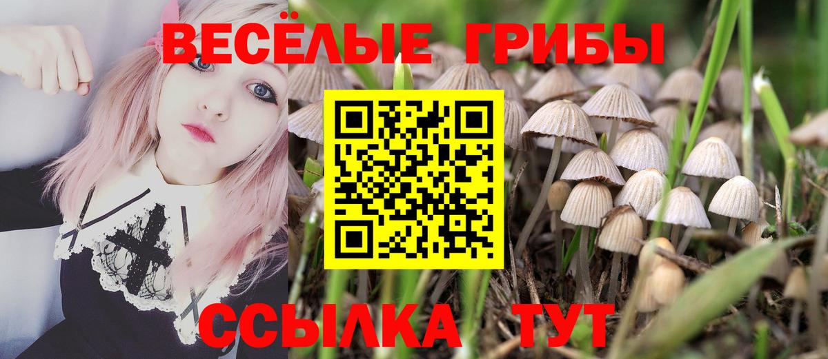 Кудрово  Псилоцибиновые грибы GOLDEN TEACHER  даркнет сайт  Вход с VPN 